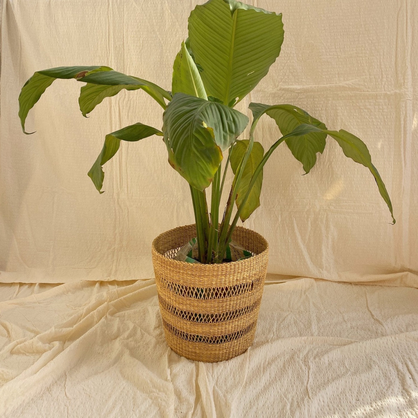 Aburi Storage Basket/Planter